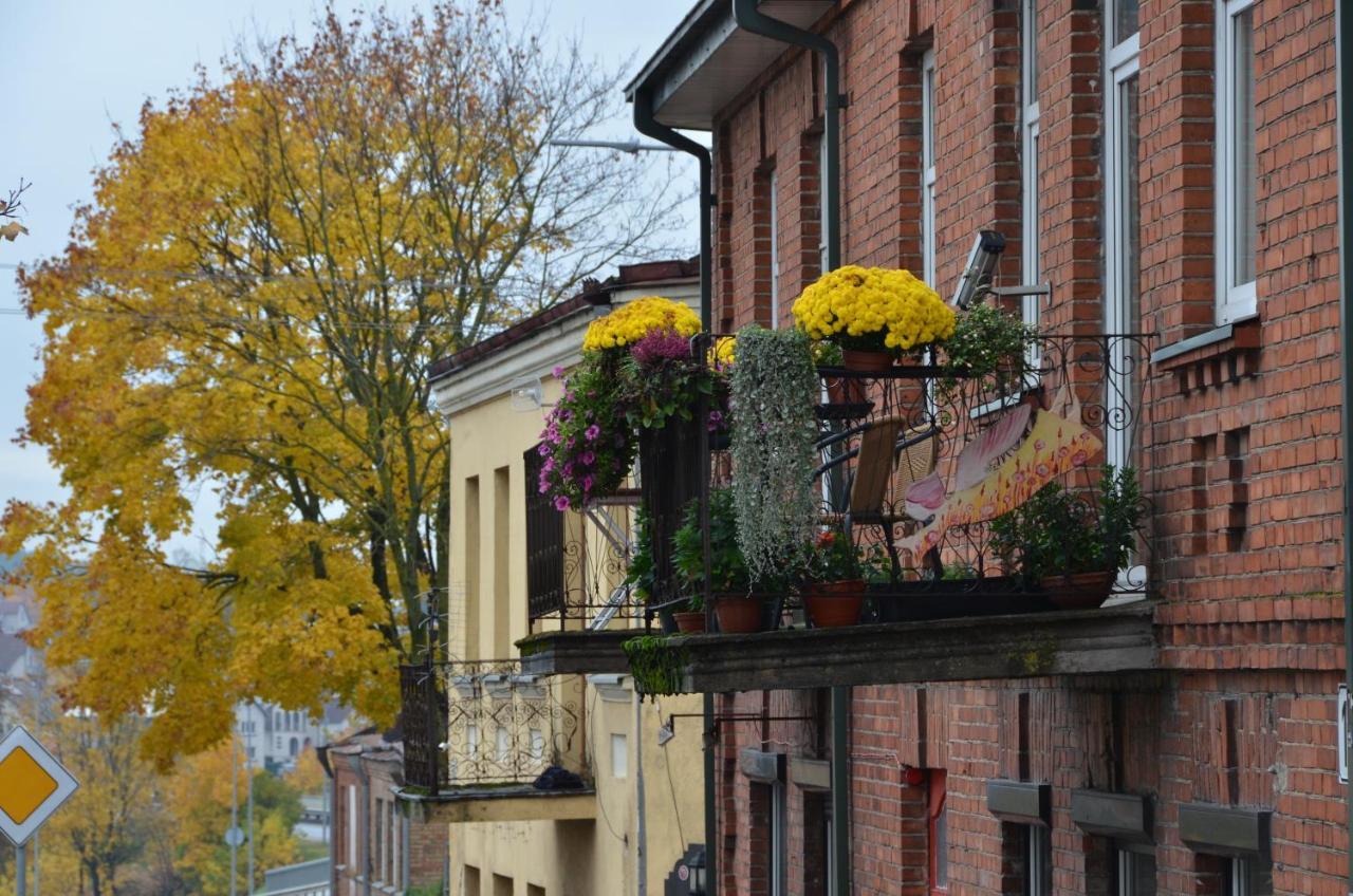 Old Town Apartments Алітус Екстер'єр фото
